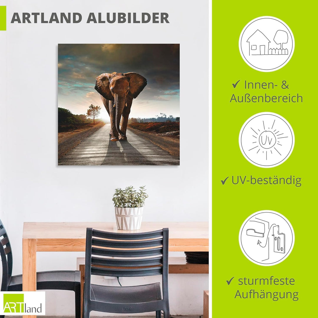 Artland Wandbild Alu für Innen & Outdoor Metall Bild 40x40 cm Tiere Wildtiere Elefant Fotografie Bra