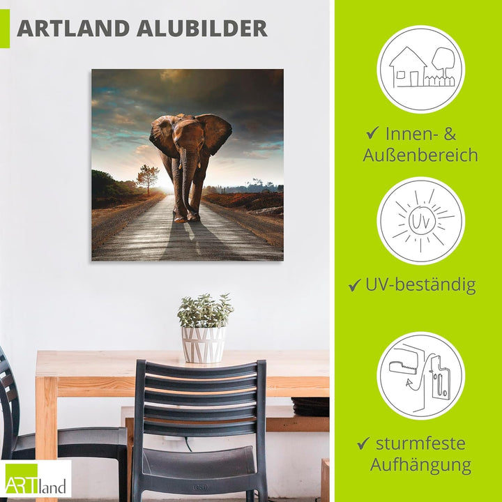 Artland Wandbild Alu für Innen & Outdoor Metall Bild 40x40 cm Tiere Wildtiere Elefant Fotografie Bra