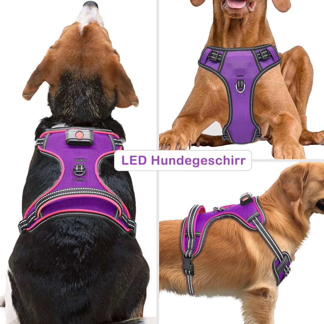 Hundegeschirr Leuchtend Wiederaufladbares Leuchtgeschirr für Hunde Led Beleuchtetes Hundegeschirr fü