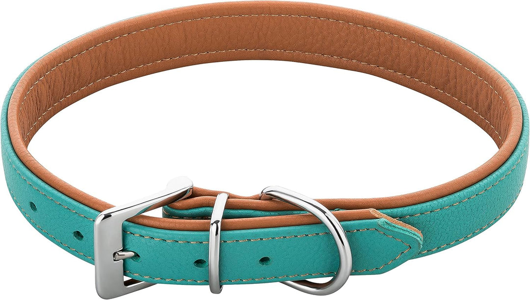 Schnüffelfreunde Lederhalsband Hund - Fun Line (XXL - 55-65cm, Türkis-Braun) XXL Türkis-Braun, XXL T