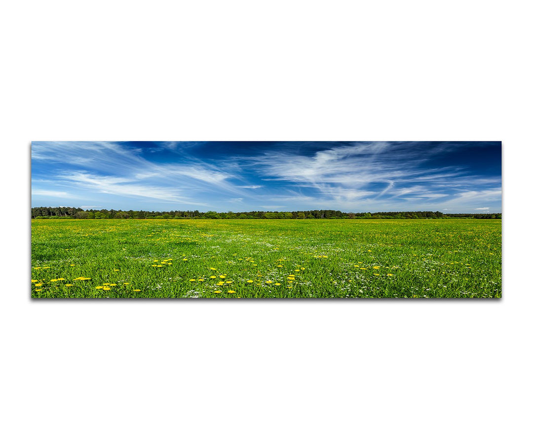 Paul Sinus Art Panoramabild auf Leinwand und Keilrahmen 150x50cm Wiese Blumen Wald Wolkenschleier So