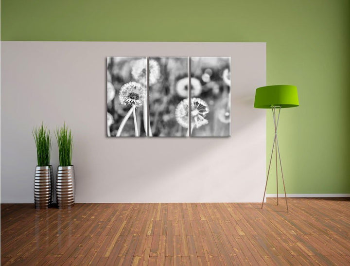 Pixxprint Romantische Pusteblumen als Leinwandbild/Grösse: 3 Teilig (120x80 cm) cm/Wandbild/Kunstdru