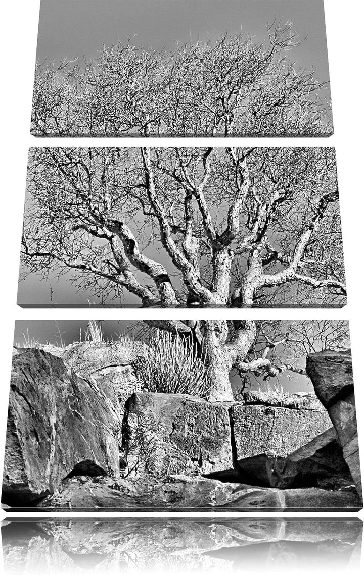 Pixxprint Monocrome, einsamer Baum im Gebirge 3-Teiler Leinwandbild 120x80 Bild auf Leinwand
