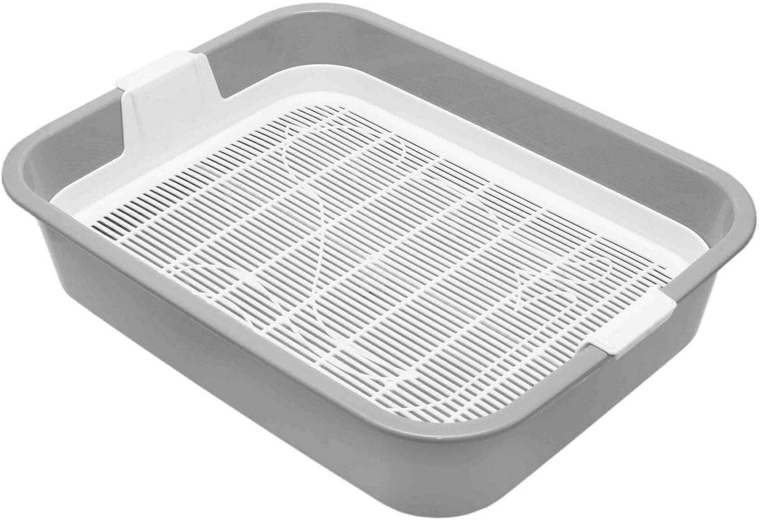 4Big.fun 2x Set Erste Katzentoilette Schalentoilette Katzenklo - perfekt für Kätzchen Katzenbabys Ju