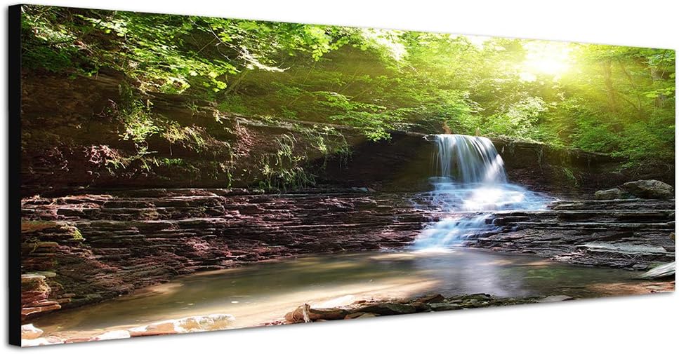 Paul Sinus Art Panoramabild auf Leinwand und Keilrahmen 120x40cm Wald Bäume Wasserfall Bach Sonnenli