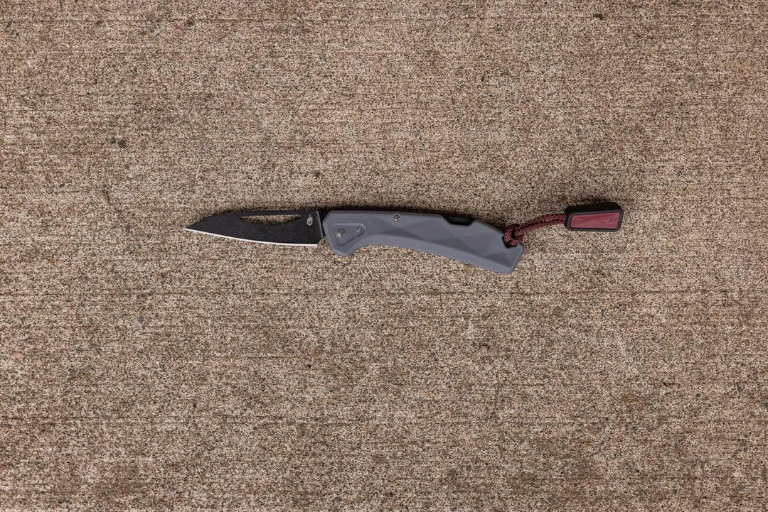 Gerber Taschenmesser mit Zugband, LST Mini, 440A Wharncliffe-Edelstahlklinge, Griffschalen aus glasf