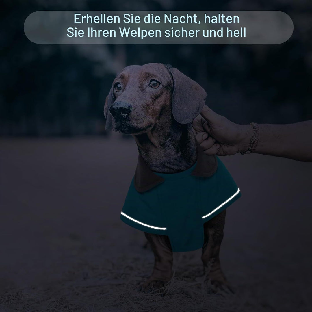 Hundemantel Dackel XL, Winddichter Wasserdichter Wintermantel Für Dackel Hunde, Hundejacke Für Gross