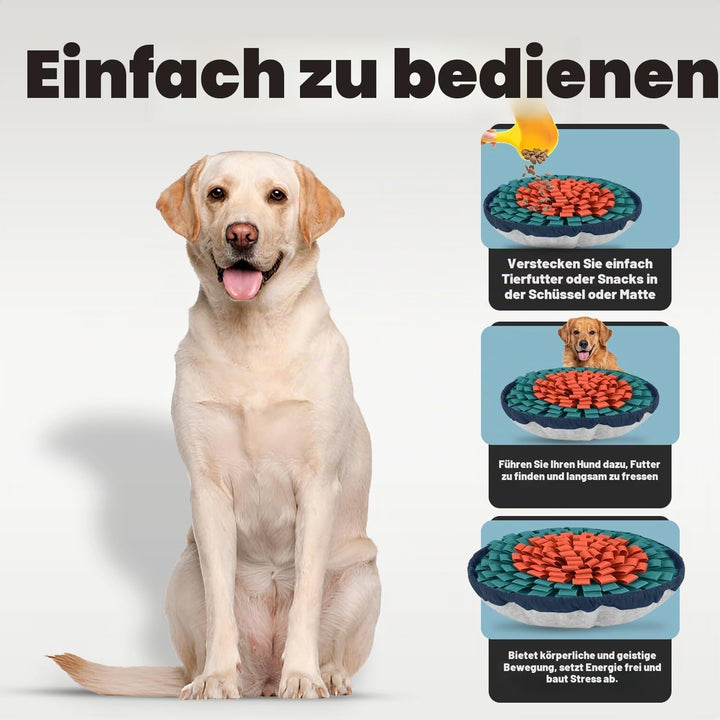 PET ARENA Schnüffelteppich Hund – Verstellbares, interaktives Puzzle-Spielzeug für grosse und kleine