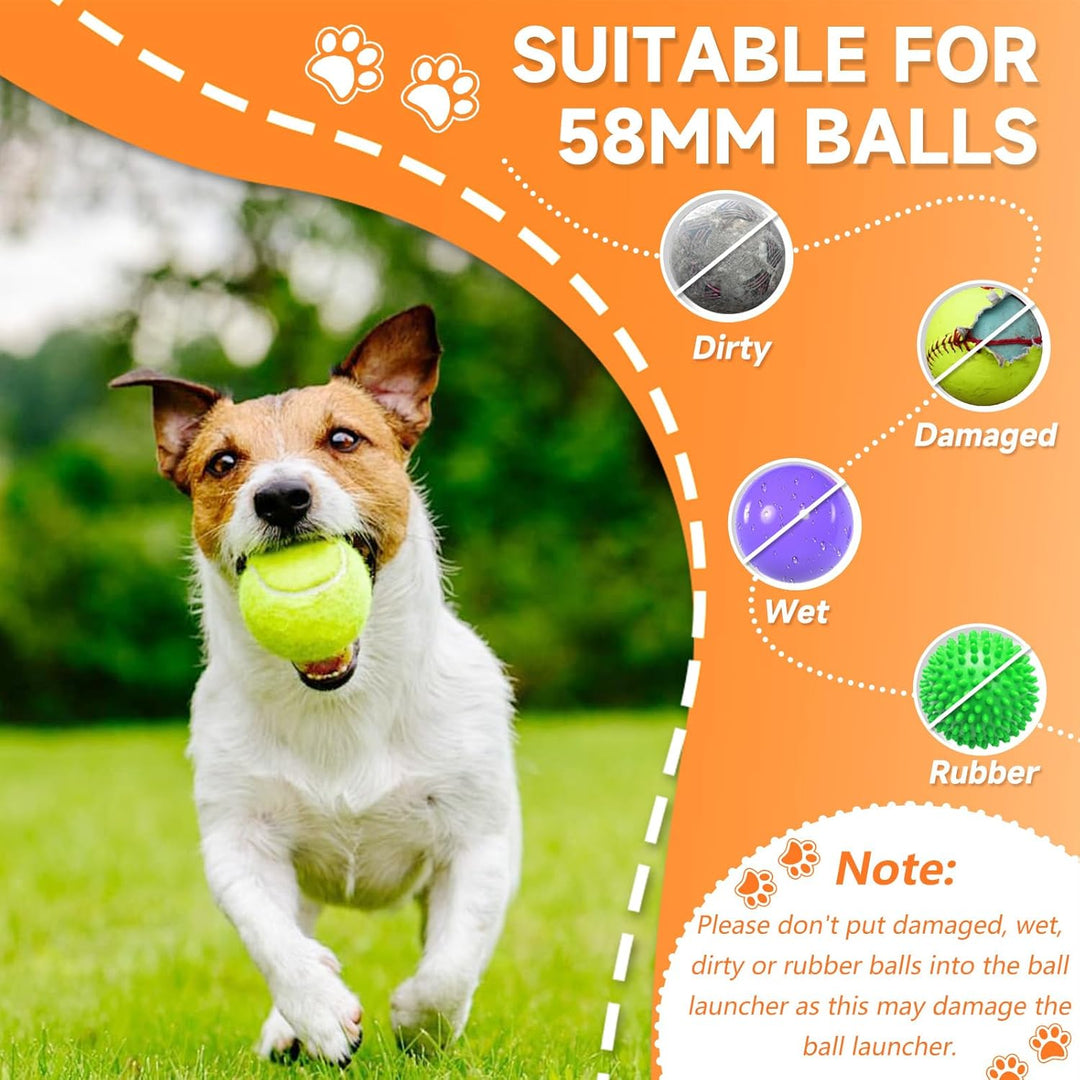 Ballwurfmaschine für Hunde, Ballmaschine Hund mit 6 E-TPU Tennisbälle, Interaktives Hundespielzeug E