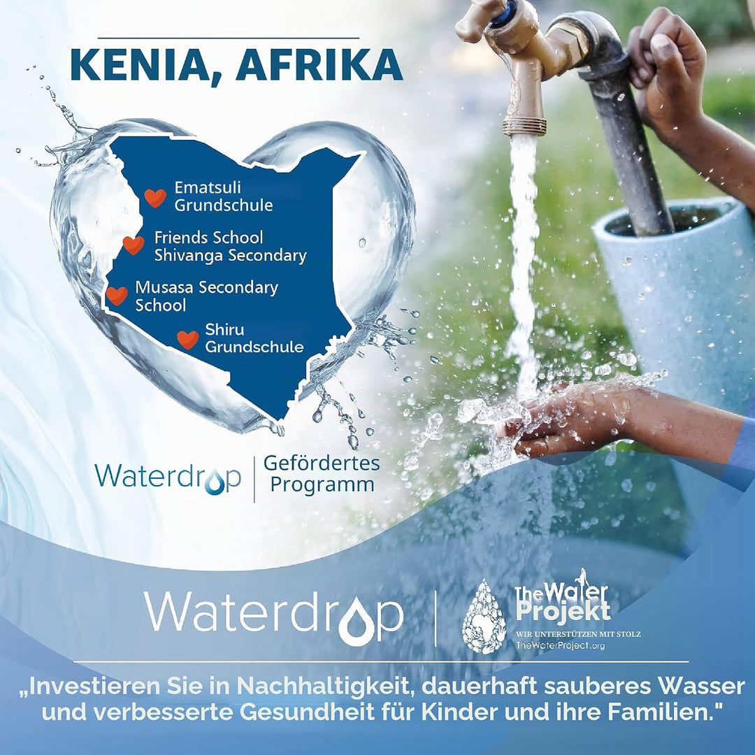 Waterdrop Wasserfilter, Ersatz für Brita® Intenza+, Saeco® CA6702/00, NICHT für Saeco® AquaClean®, P