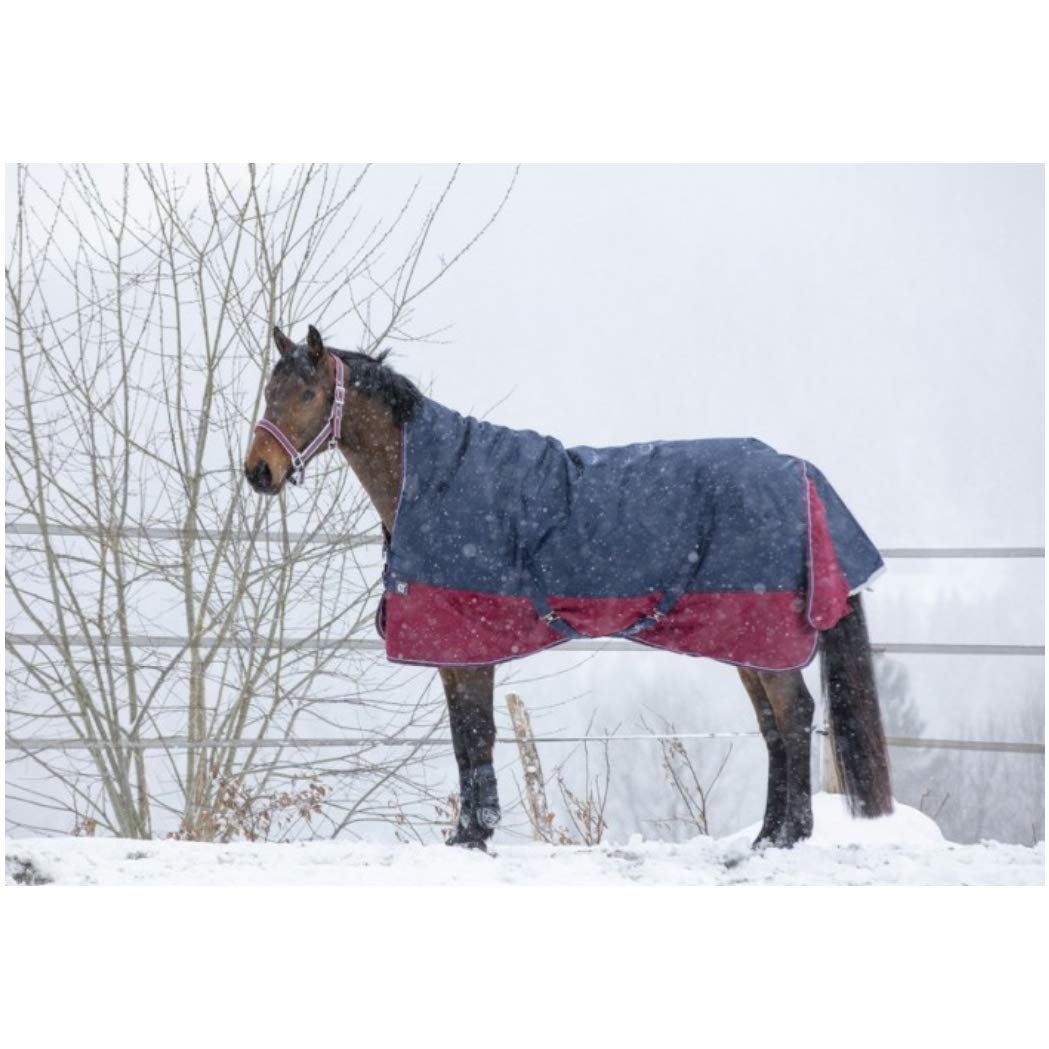 Equi-Theme Winterdecke Highneck 300g Füllung TYREX 1200D Marineblau/Bordeauxrot marineblau/bordeauxr