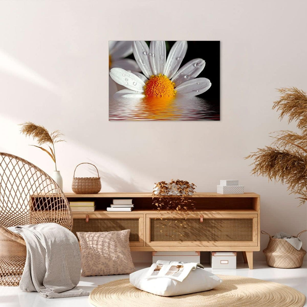 Bilder auf Leinwand Kraut Kamille Blume Wasser Leinwandbild 70x50cm Wandbilder Dekoration Wohnzimmer