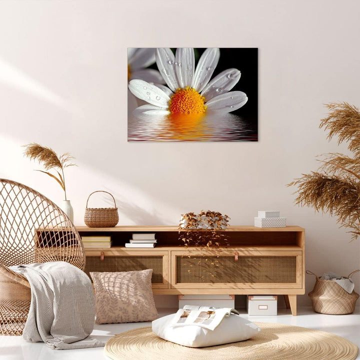 Bilder auf Leinwand Kraut Kamille Blume Wasser Leinwandbild 70x50cm Wandbilder Dekoration Wohnzimmer