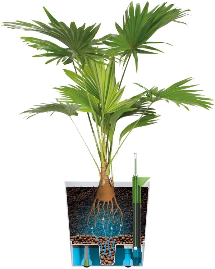 elho Greensense Aqua Care Quadrat 38 mit Integrierte Wasserspeicher - Blumentopf für Innen &amp; Aussen