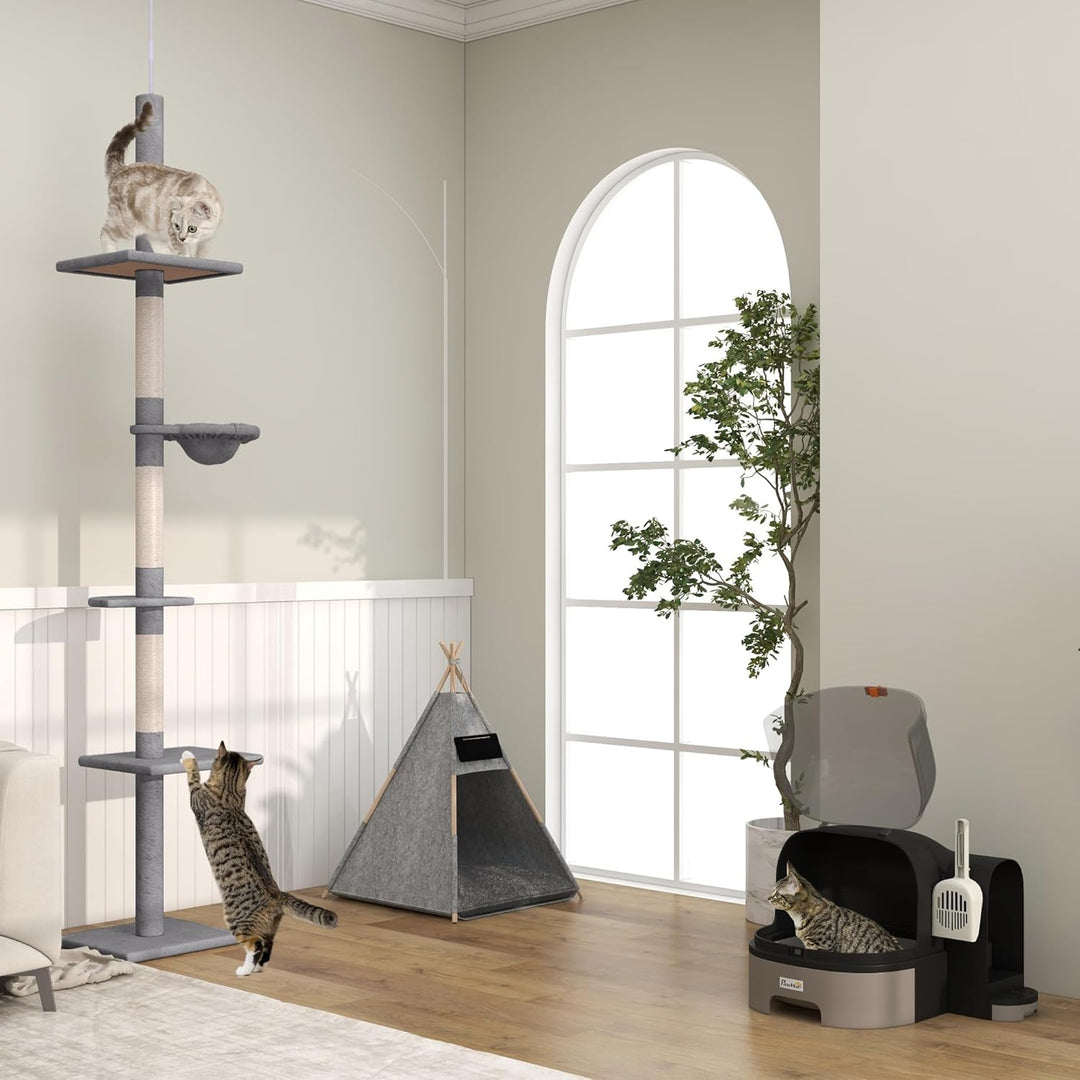 PawHut Haustierzelt Katzenhaus Hundezelt Katzenbett Katzenzelt mit weichem Kissen Plüsch Filz maschi