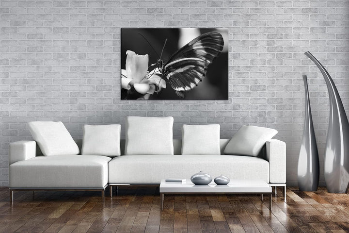 deyoli zauberhafter Schmetterling Effekt: Schwarz&Weiss Format: 80x60 als Leinwandbild, Motiv fertig