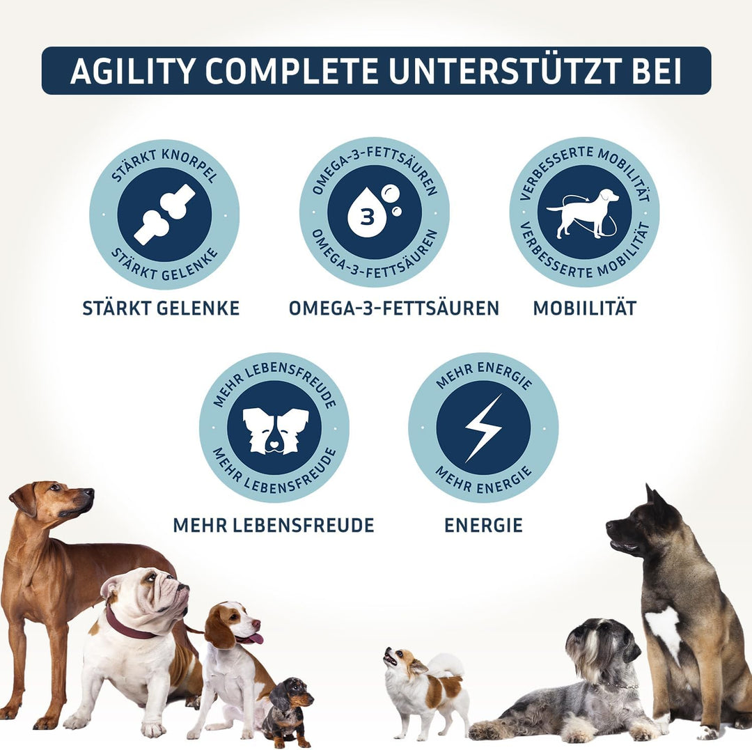 BodyFokus PetFokus Agility Complete – Für gelenkempfindliche Hunde