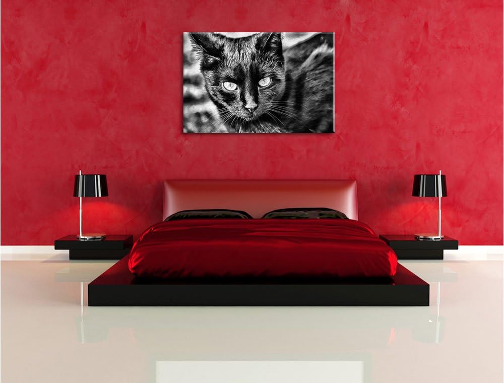 Monocrome, schwarze Katze, Format: 100x70 auf Leinwand, XXL riesige Bilder fertig gerahmt mit Keilra