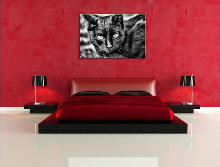 Monocrome, schwarze Katze, Format: 100x70 auf Leinwand, XXL riesige Bilder fertig gerahmt mit Keilra