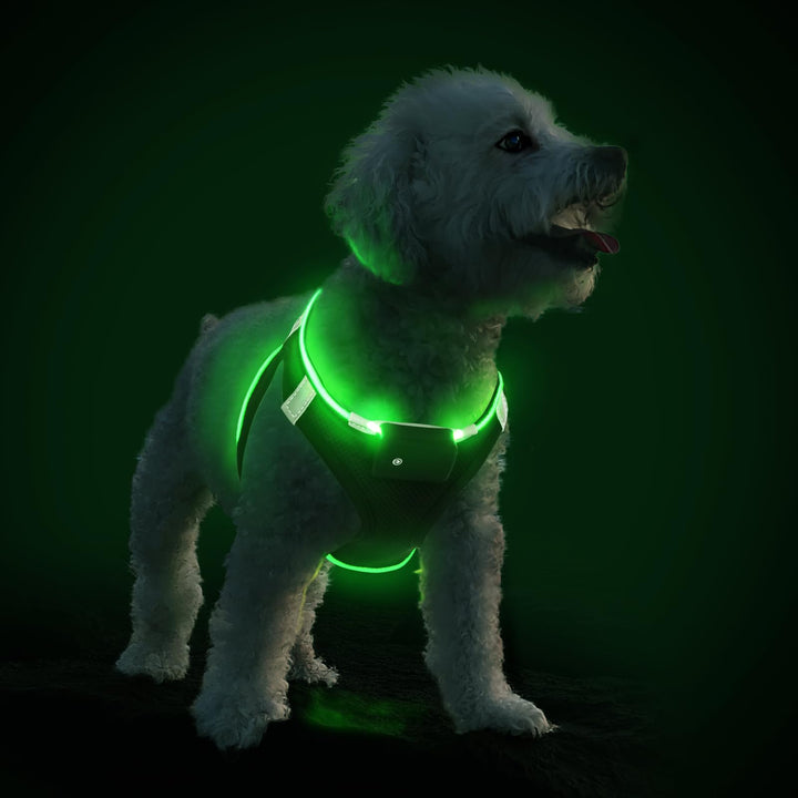 PcEoTllar Hundegeschirr Leuchtend USB Aufladbar Reflektierendes Leuchtgeschirr LED Leucht Brustgesch