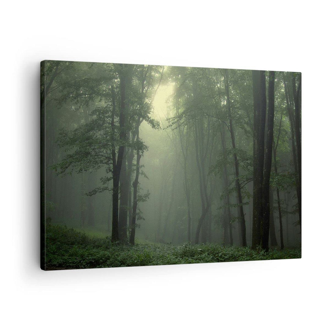 Bilder auf Leinwand Wald Nebel Baum Leinwandbild mit Rahmen 70x50cm Wandbilder Dekoration Wohnzimmer