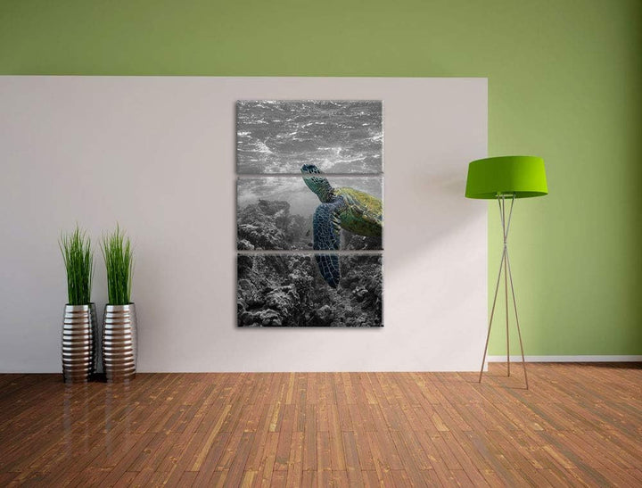 Schildkröte und Korallen im Ozean schwarz/weiss 3-Teiler Leinwandbild 120x80 Bild auf Leinwand, XXL
