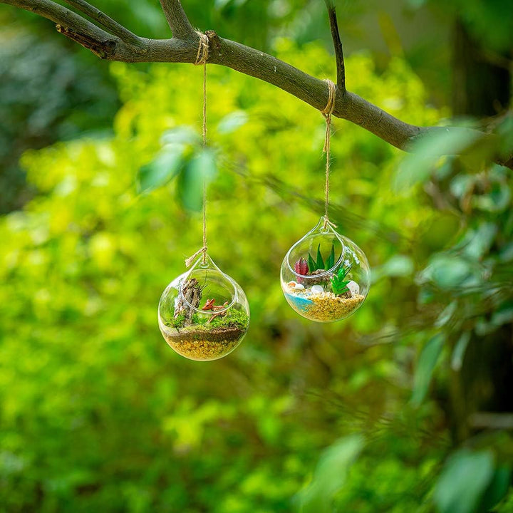 Hängende Glaskugel Vase Glaskugel 6 Pcs Grosse Öffnung Sukkulenten Aufhängen Terrarium Glas Flower A