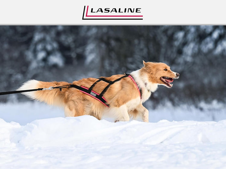 LASALINE Hunde Zuggeschirr X Back für Canicross Hundesport Dogscooter Bikejöring Schlitten in Schwar