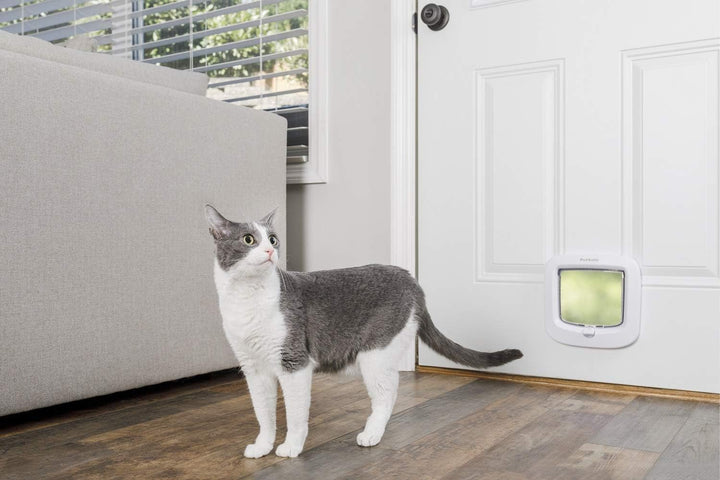 PetSafe Manuelle Katzenklappe, Handverriegelung mit 4 Verschlussoptionen, Mit Wetterdichtung, Katzen