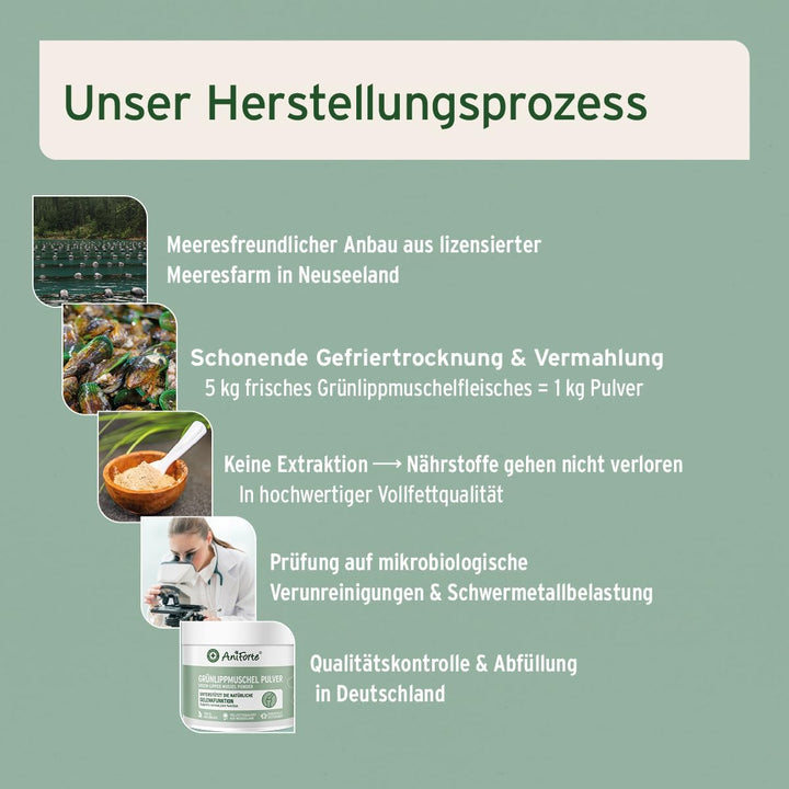 AniForte Grünlippmuschelpulver für Hunde 1kg - Natürliches Grünlippmuschel Pulver in Vollfettqualitä