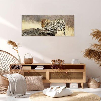 Wandbilder Dekoration Wohnzimmer Afrika Leopard Katze Safari Panorama Bilder auf Leinwand 120x50cm L