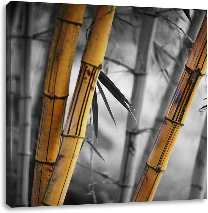 Pixxprint Alter rustikaler Bambus als Leinwandbild Quadratisch/Grösse: 70x70 / Wandbild/Kunstdruck/f