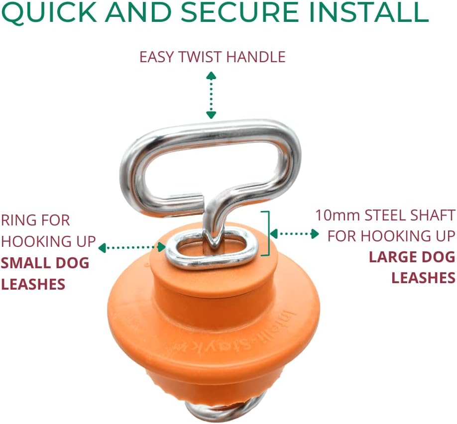 Intellileash Hundeleine Intelli-Stayk, Intelli-Stayk