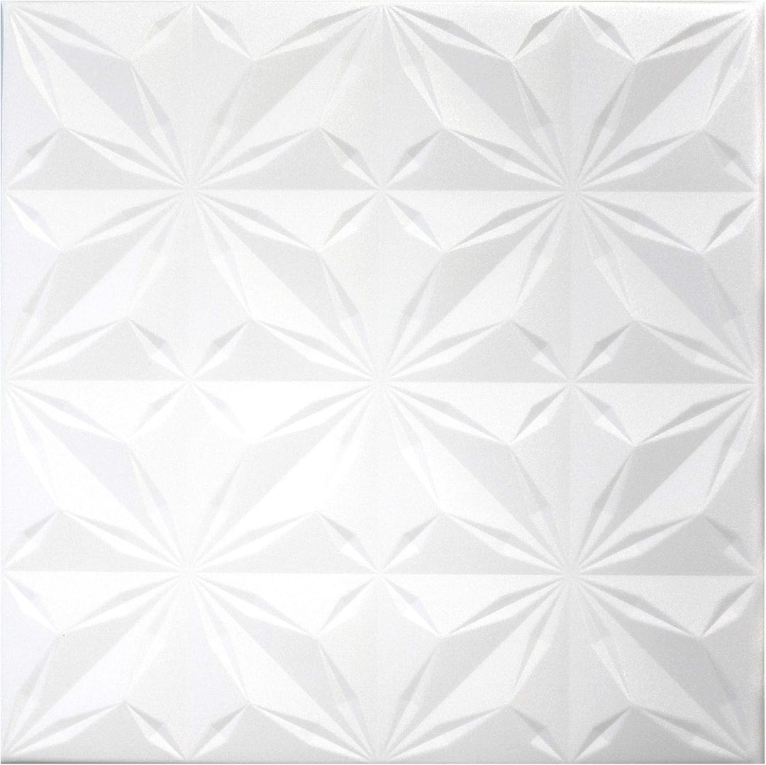 HEXIM Deckenplatten 50x50cm Styroporplatten weiss XPS Styropor, Deckenpaneele Feuchtraum Deckenverkl