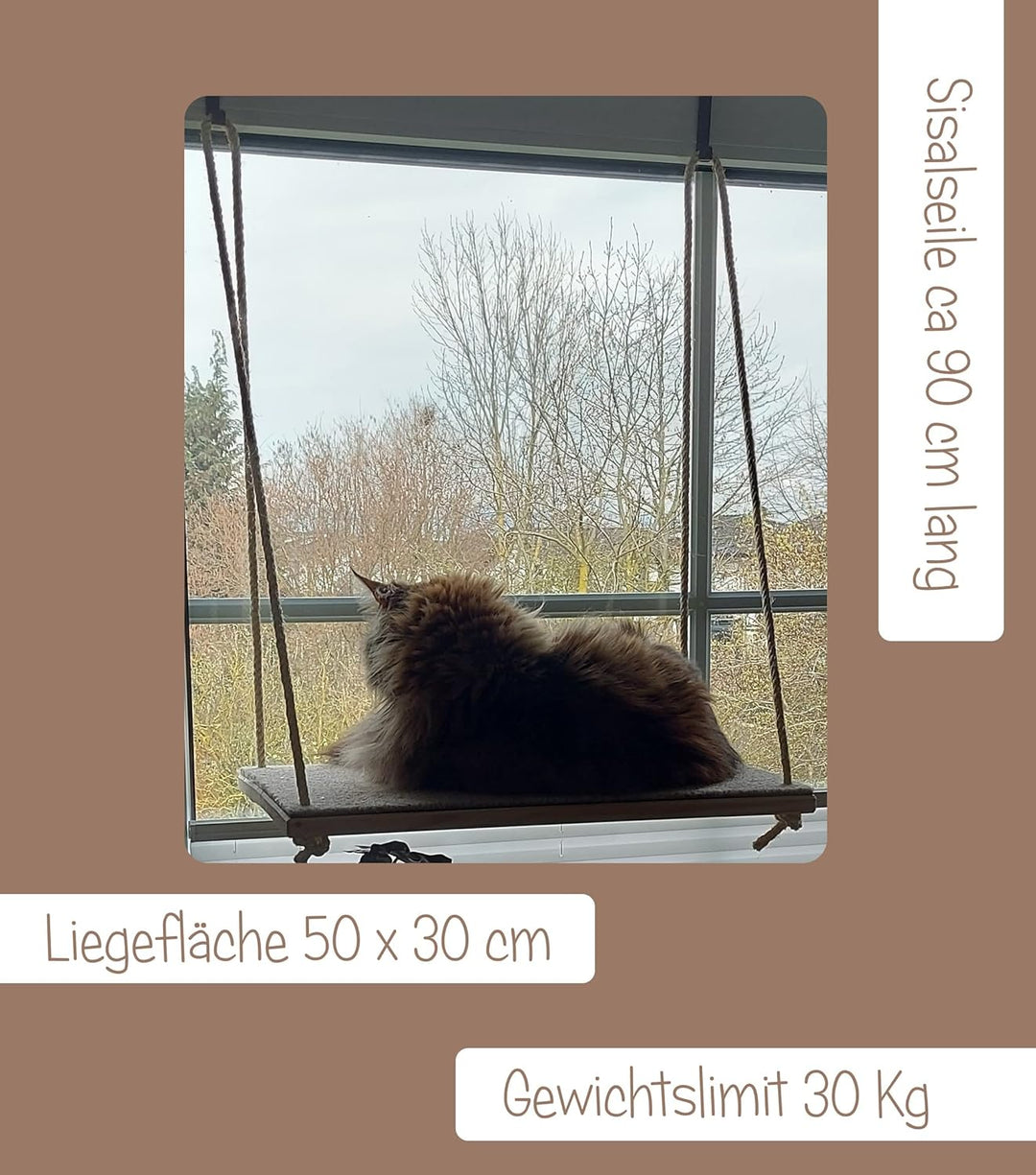 CapriCorner Katzen Fensterliege, kein Herunterfallen Dank Sisalseile, Holz statt Plastik - Neuer Fen