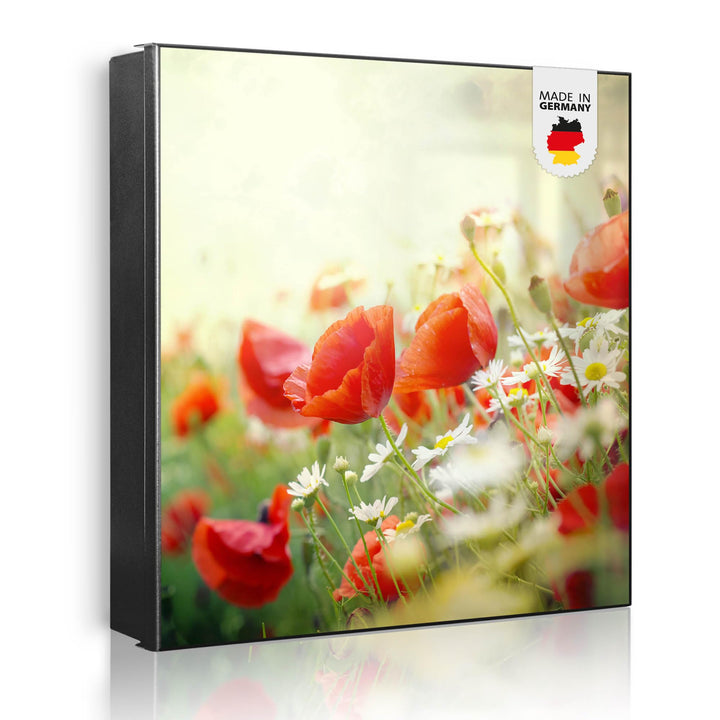 banjado® Grosser Schlüsselkasten Glas/Schlüsselbox 30cm x 30cm mit 50 Haken - Motiv Kamille Und Mohn