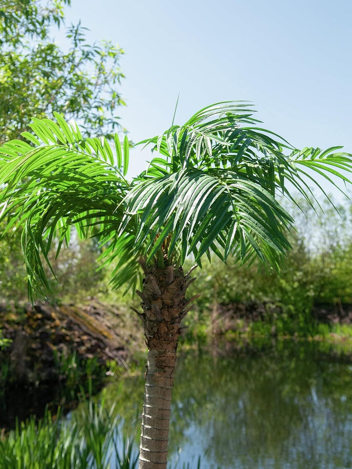EUROPALMS Phönixpalme Luxor, Kunstpflanze, 240cm | Phönixpalme mit imposantem Blattwerk