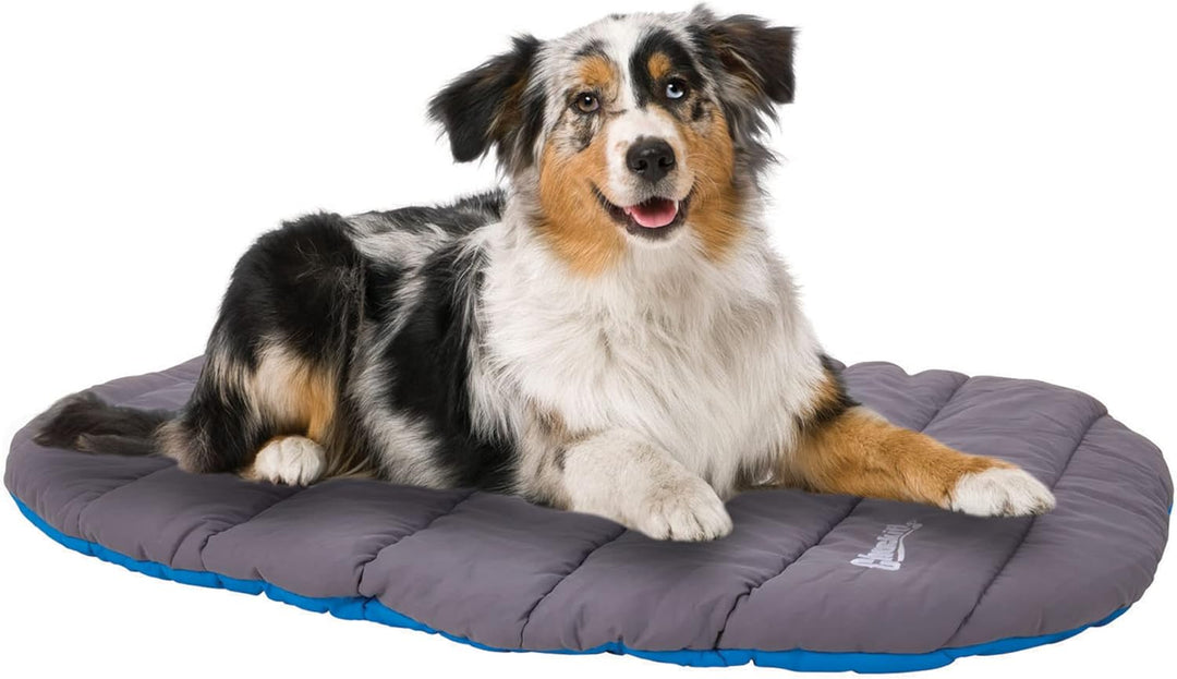 Chuckit! CH10400 Travel Bed One Size (Up to 25 lb), One Size (Up to 25 lb)