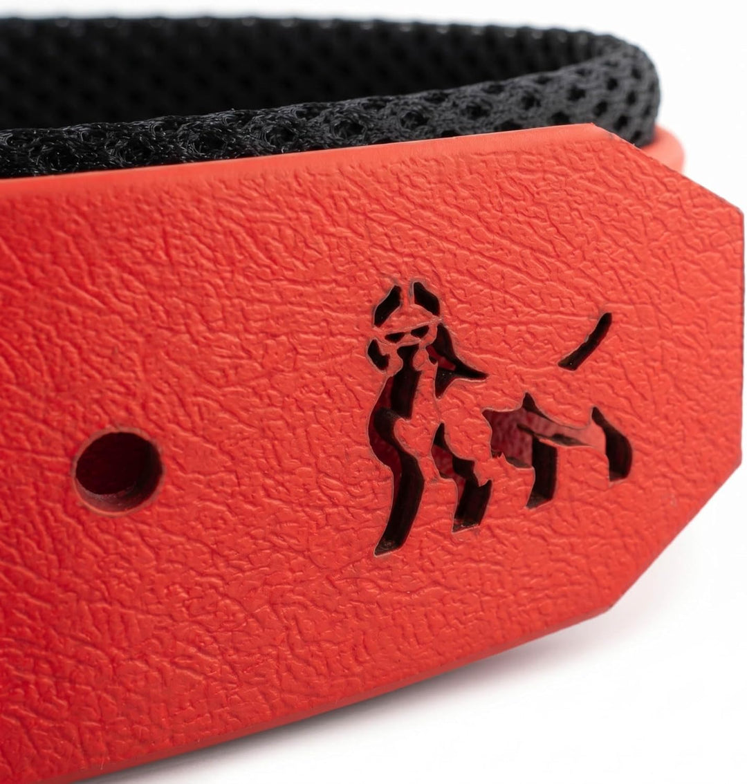 Bestia Dog Sport Halsband XL - von 57,5 cm bis 67,5 cm, XL - von 57,5 cm bis 67,5 cm