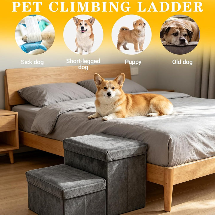 Hundetreppe mit Stauraum, Haustiertreppe Faltbar, Treppe für Hunde 2/3 Stufen, Hundetreppe für Klein