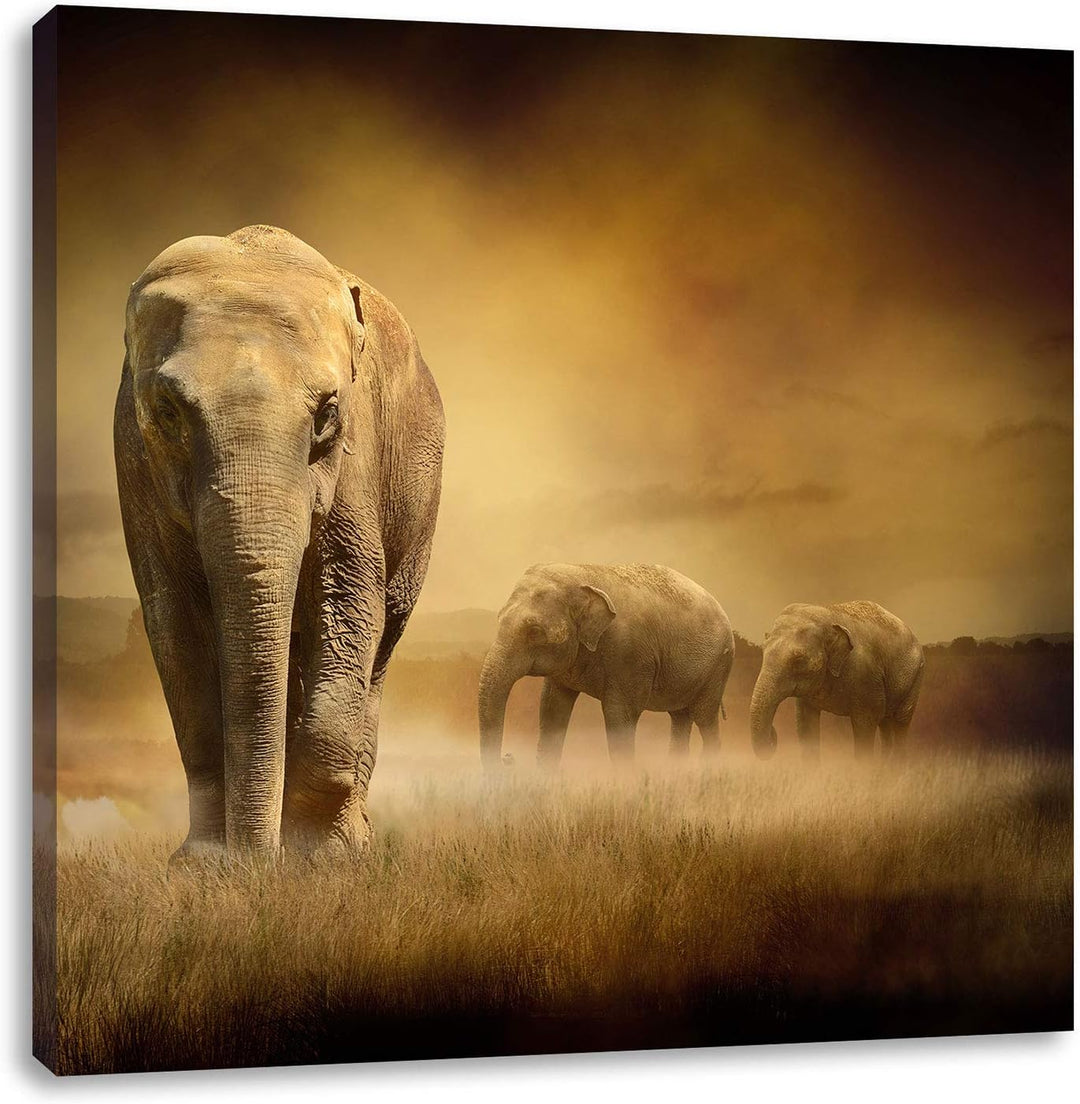 Pixxprint Prächtiger Elefanten in Steppe, Format: 70x70 auf Leinwand, 70x70