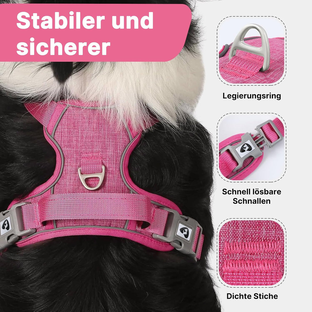 Demigreat Mittleres Hundegeschirr, Anti-Zug-Hundegeschirr mit Weich Gepolstertem Griff für das Train
