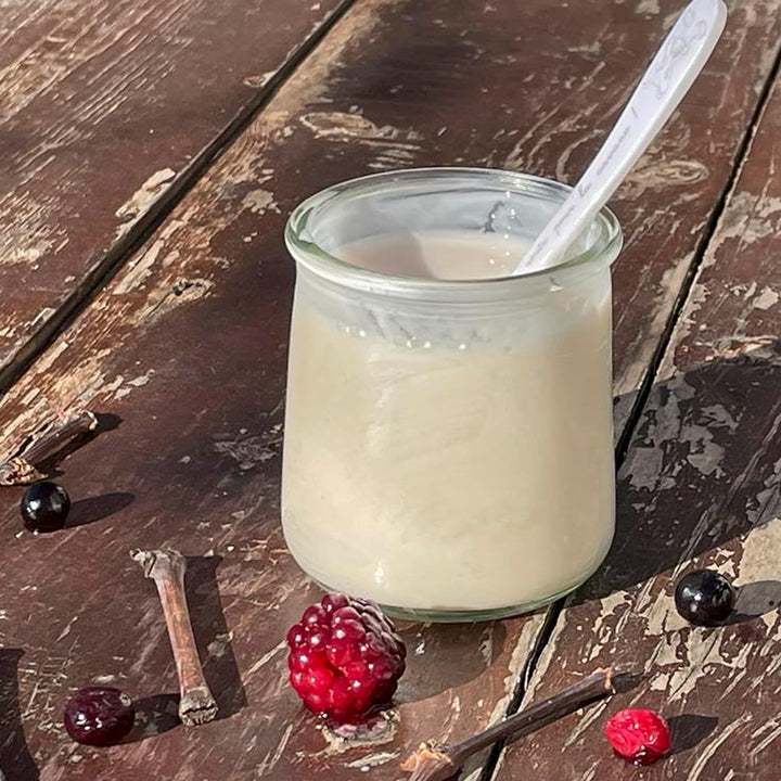 XILMARK Joghurtgläser mit Deckel 200 ml, Joghurtglas, Dessert-Glas mit Deckel, Joghurtglas mit Decke