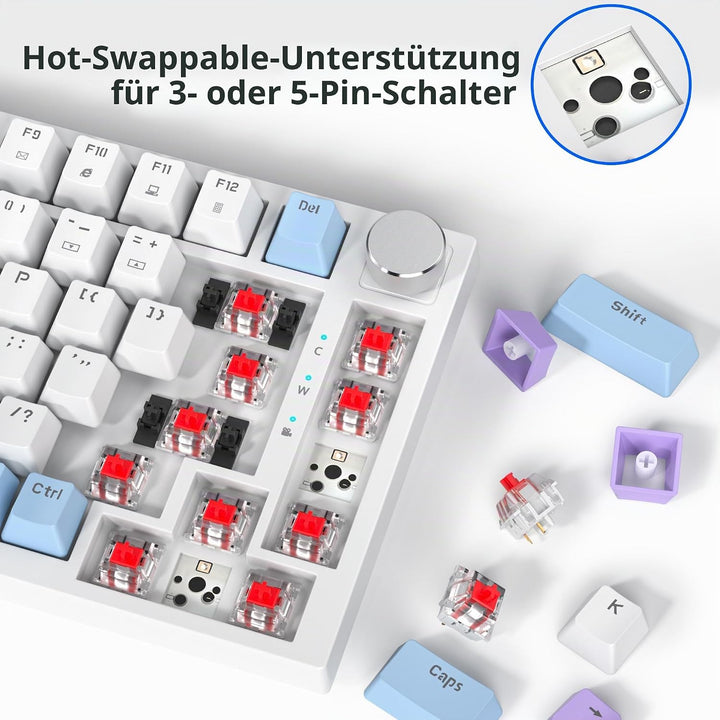 SOLIDEE Verkabelte Mechanische Gaming Tastatur 75 Prozent,hot-swap-fähige Mechanische Tastatur mit G