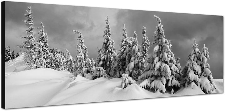 Paul Sinus Art Leinwandfoto als Panorama SCHWARZ/Weiss 120x40cm Winterlandschaft Bäume Schnee Wolken