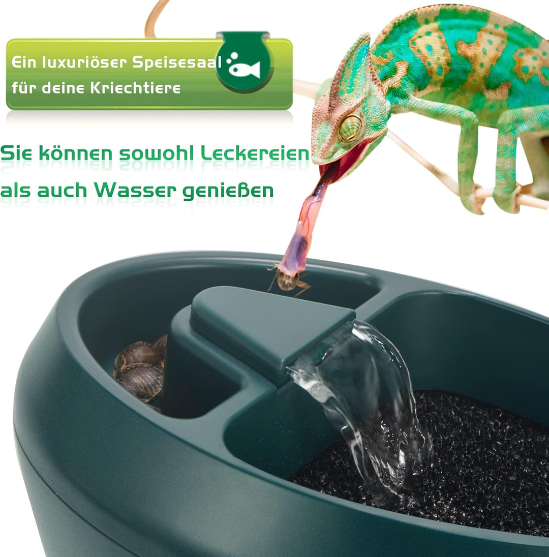 NEPTONION Reptil Chamäleon Kantine mit Snacks Trog, Trinkbrunnen Wassertropfe für Amphibien, Insekte