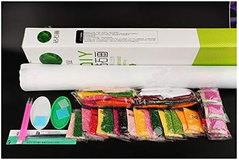 RAILONCH 5d Diamant Painting Kit Full Malerei DIY Handgemachtes Klebebild mit Digitale Sets Kreuzsti