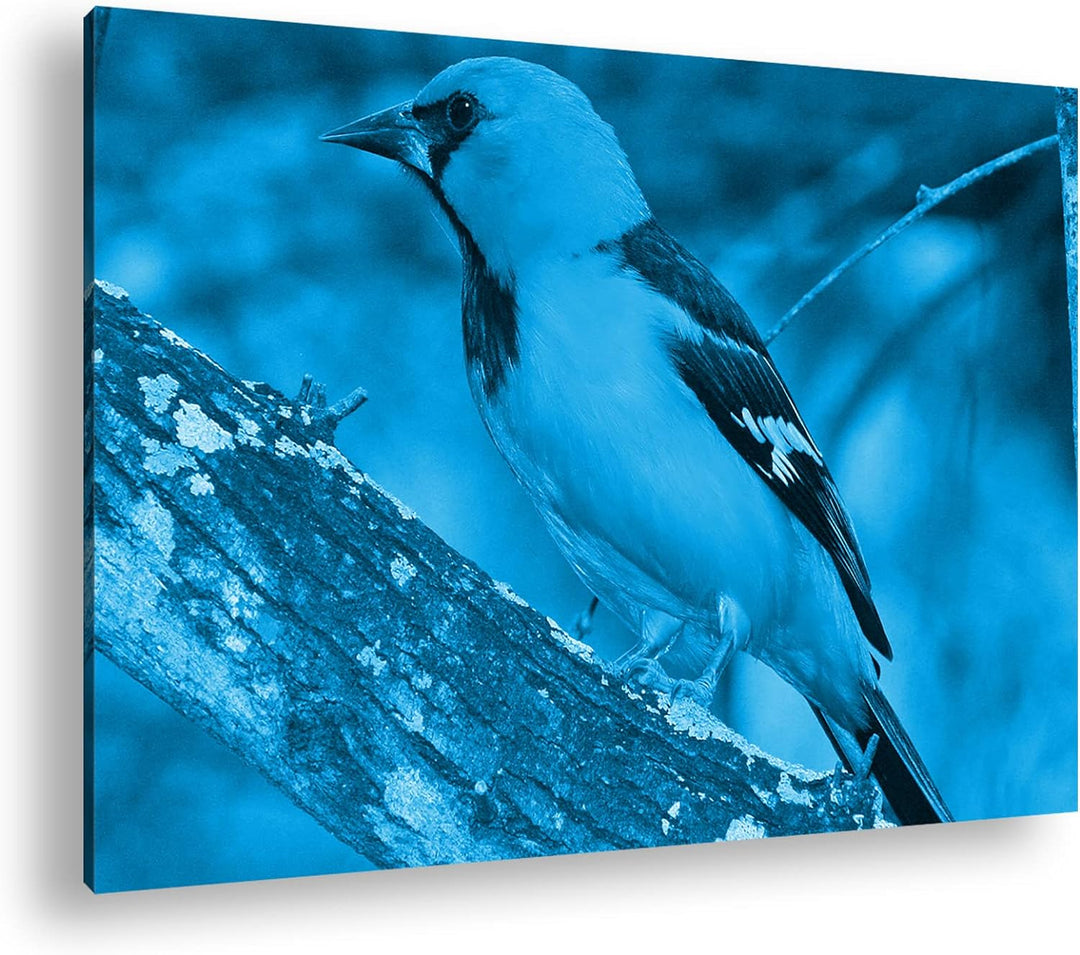 deyoli Anmutiger Vogel Format: 80x60 Effekt: Monocrome Blau als Leinwandbild, Motiv fertig gerahmt a