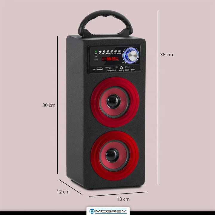 McGrey BS-20 Beachside Bluetooth Akku-Lautsprecher - Tragbare Musikbox mit Bluetooth, FM-Radio, USB/