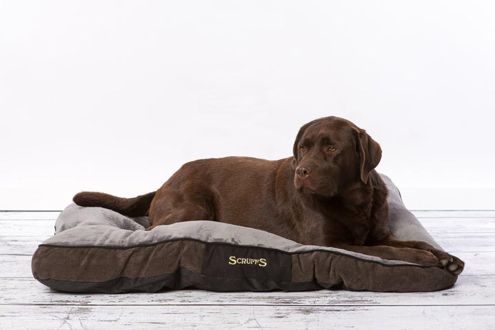 Scruffs 1160 Chester Hunde Kissen, M, grau Grau M 82 x 58 x 6 cm, Grau M 82 x 58 x 6 cm